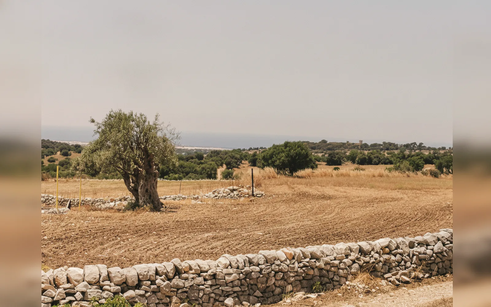 Esterni di A Valata di Donnafugata, Ragusa (Sicilia) (foto 4)